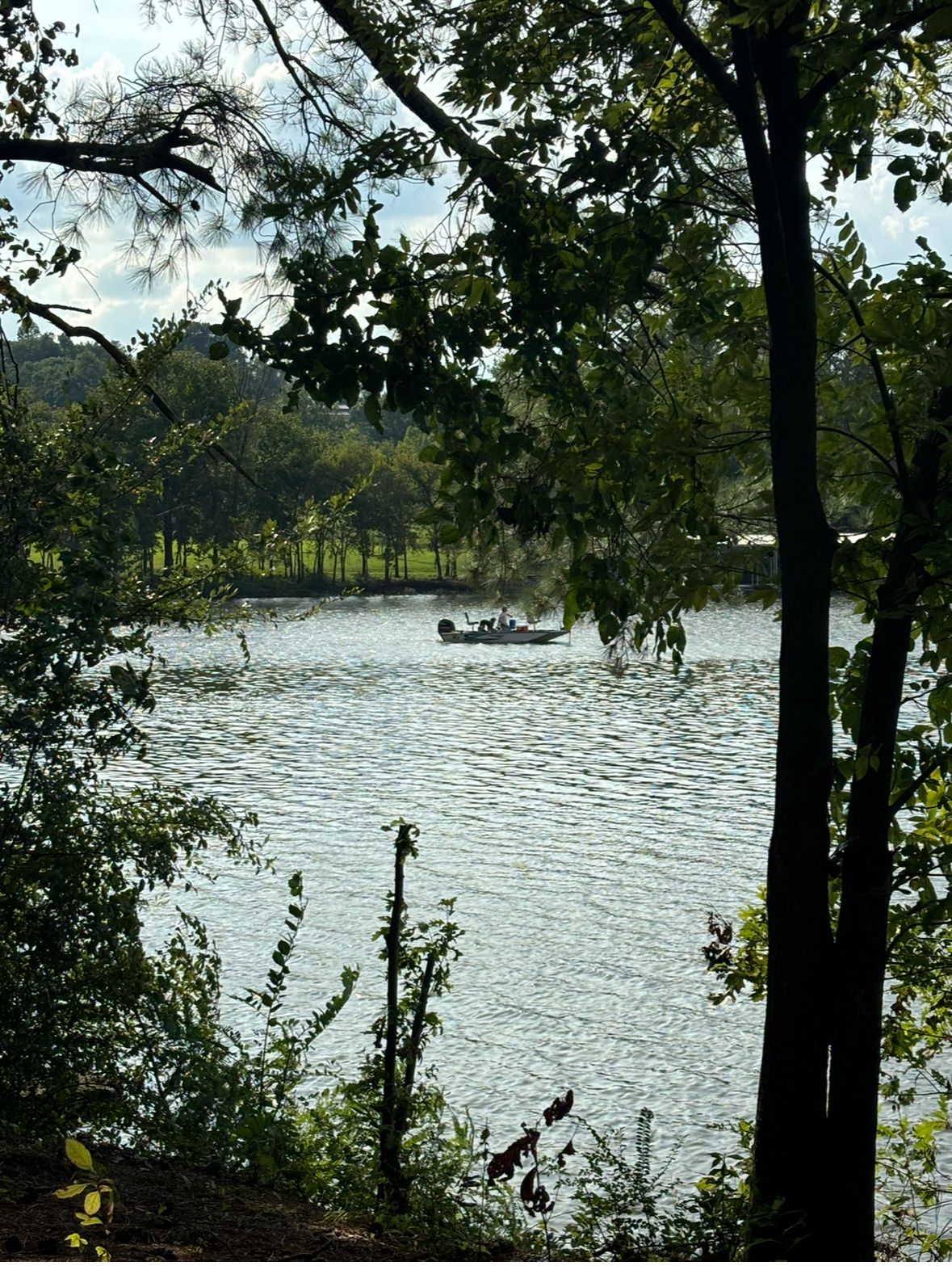 Boat on water in the distance through some trees