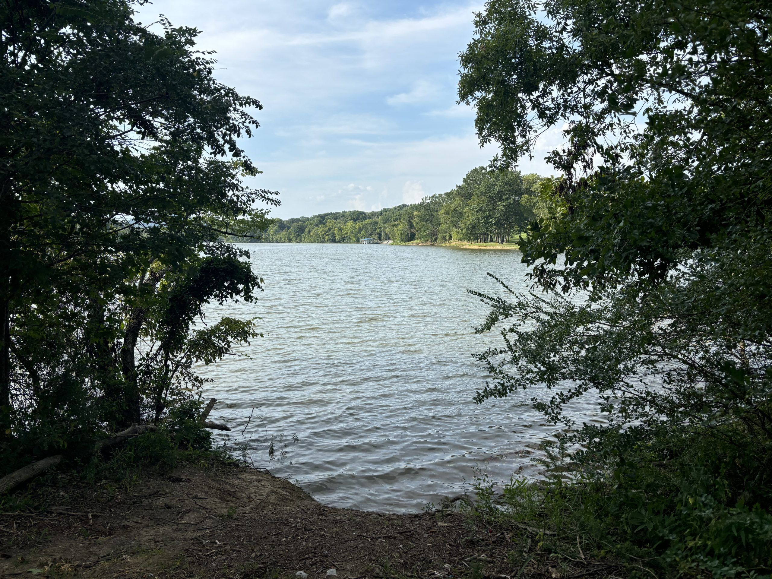 View through trees of Cumberland River