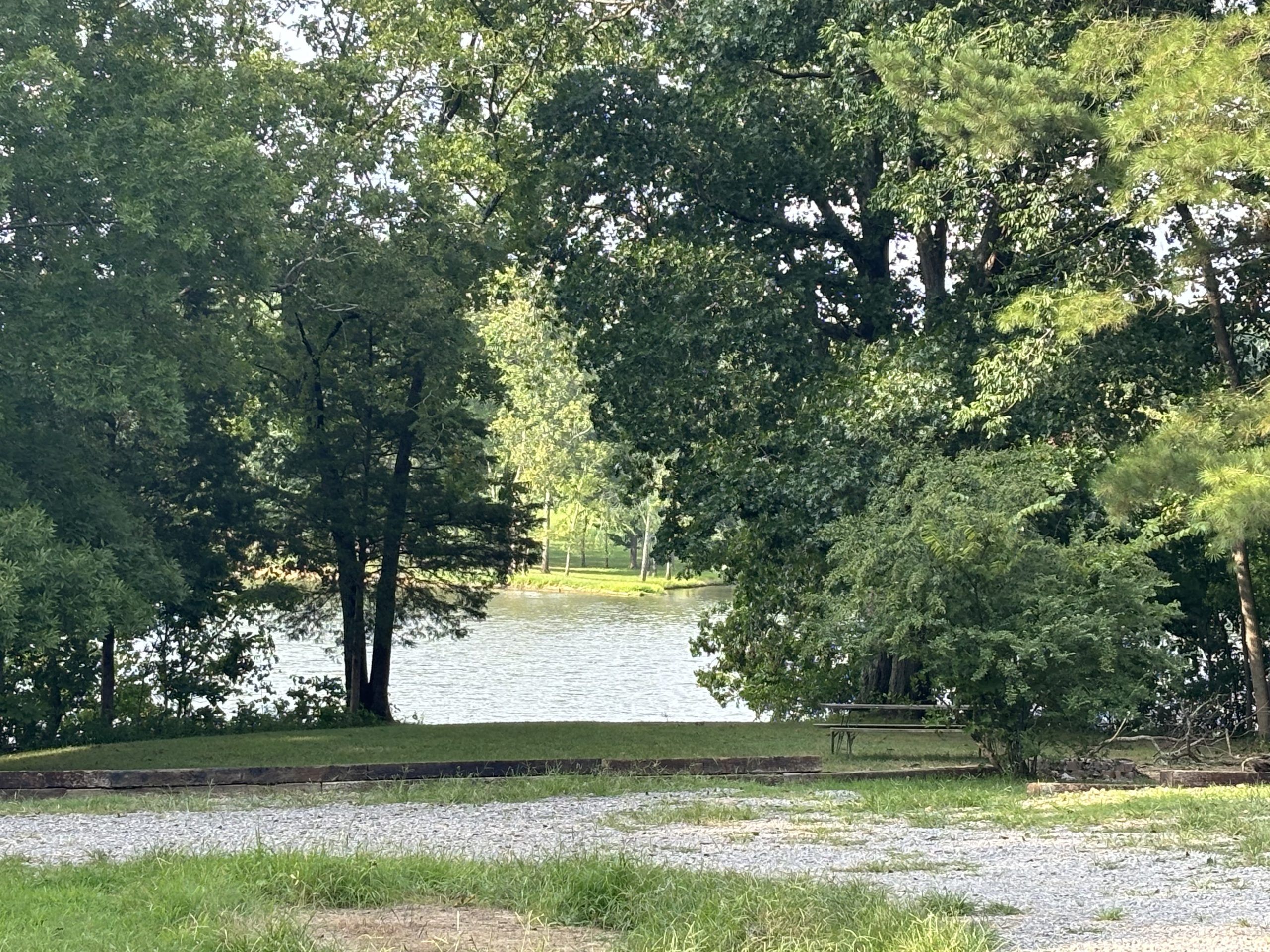 Trees surrounding Cumberland River